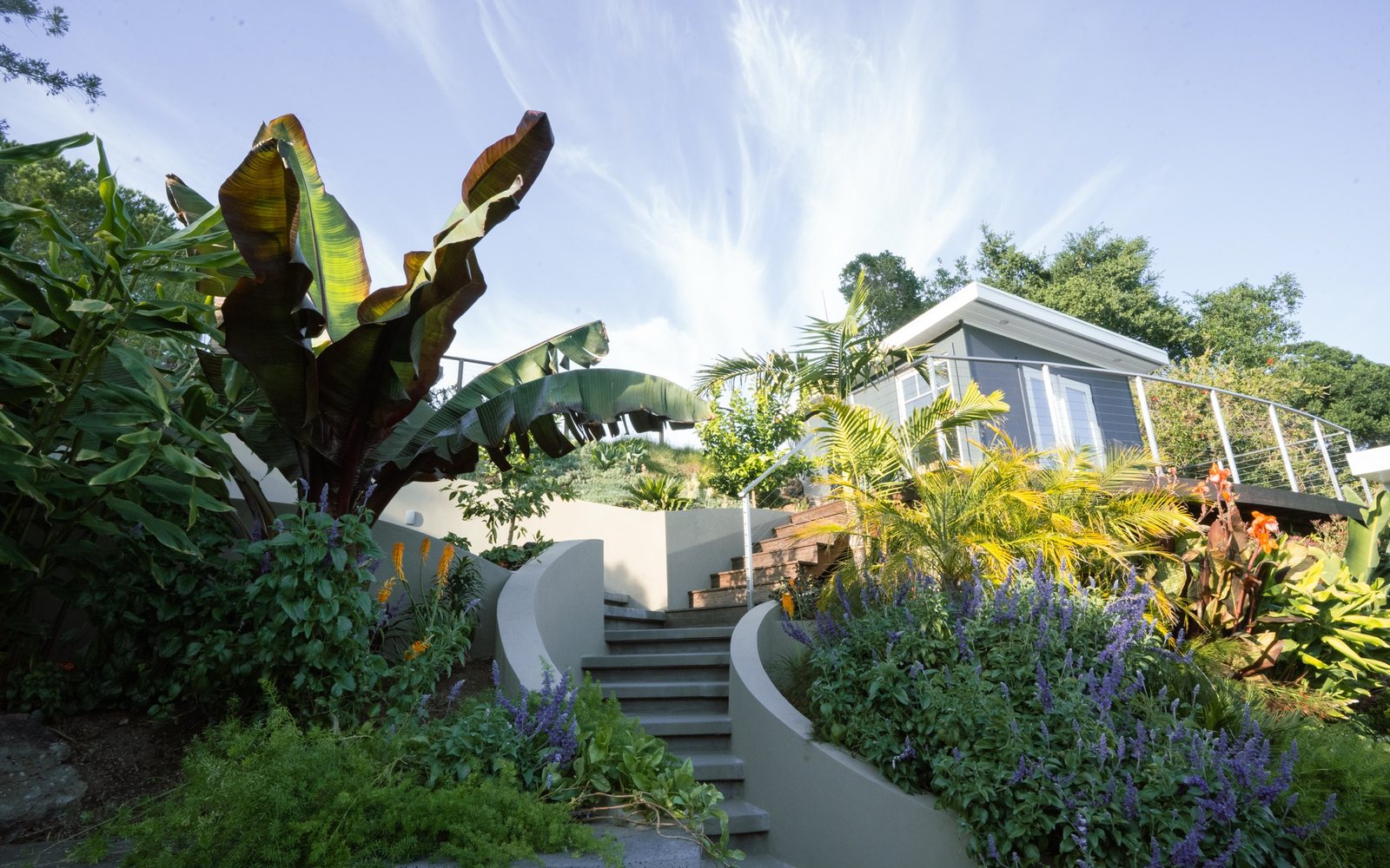 Monarch Gardens