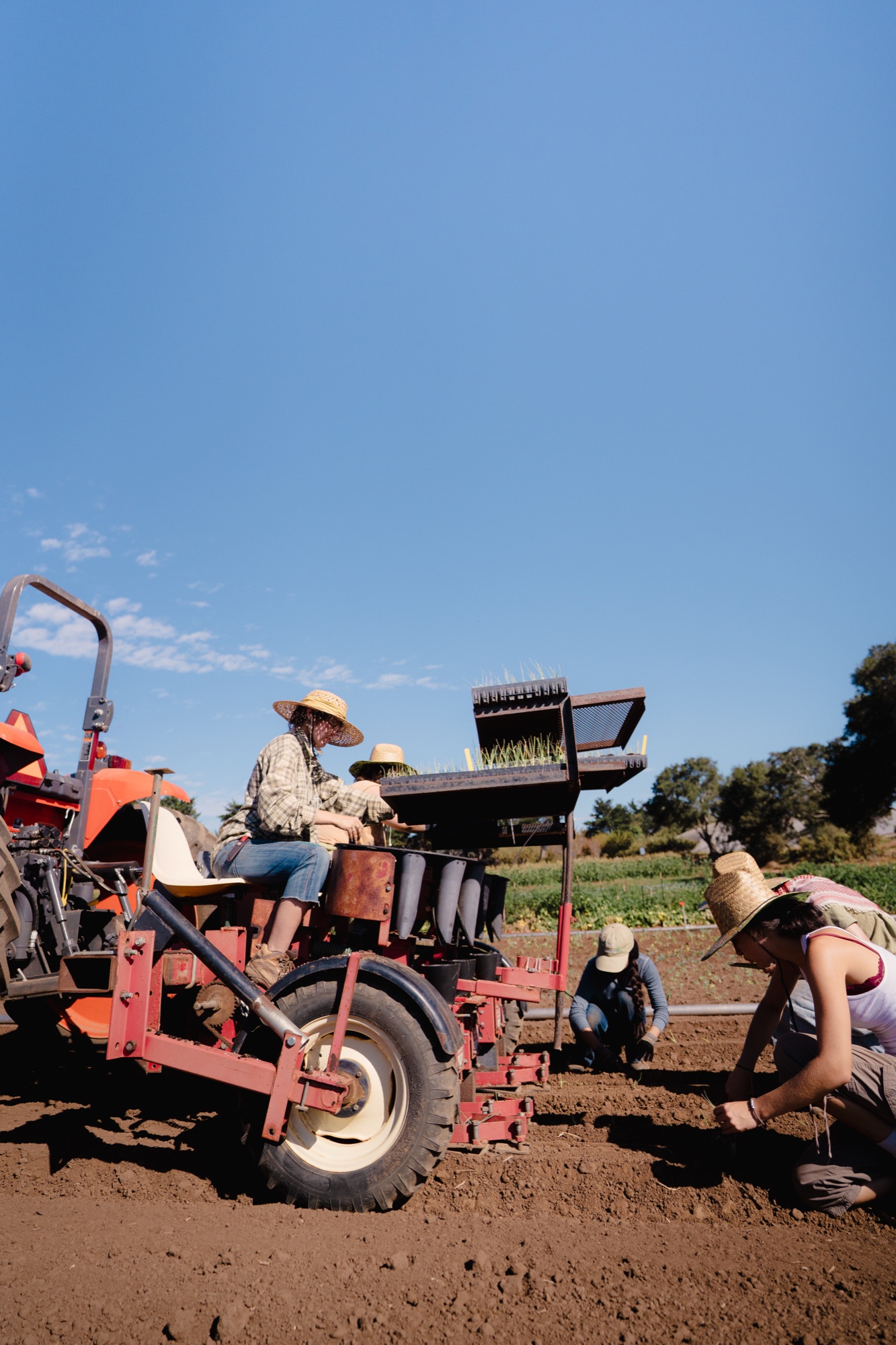 Farm 4
