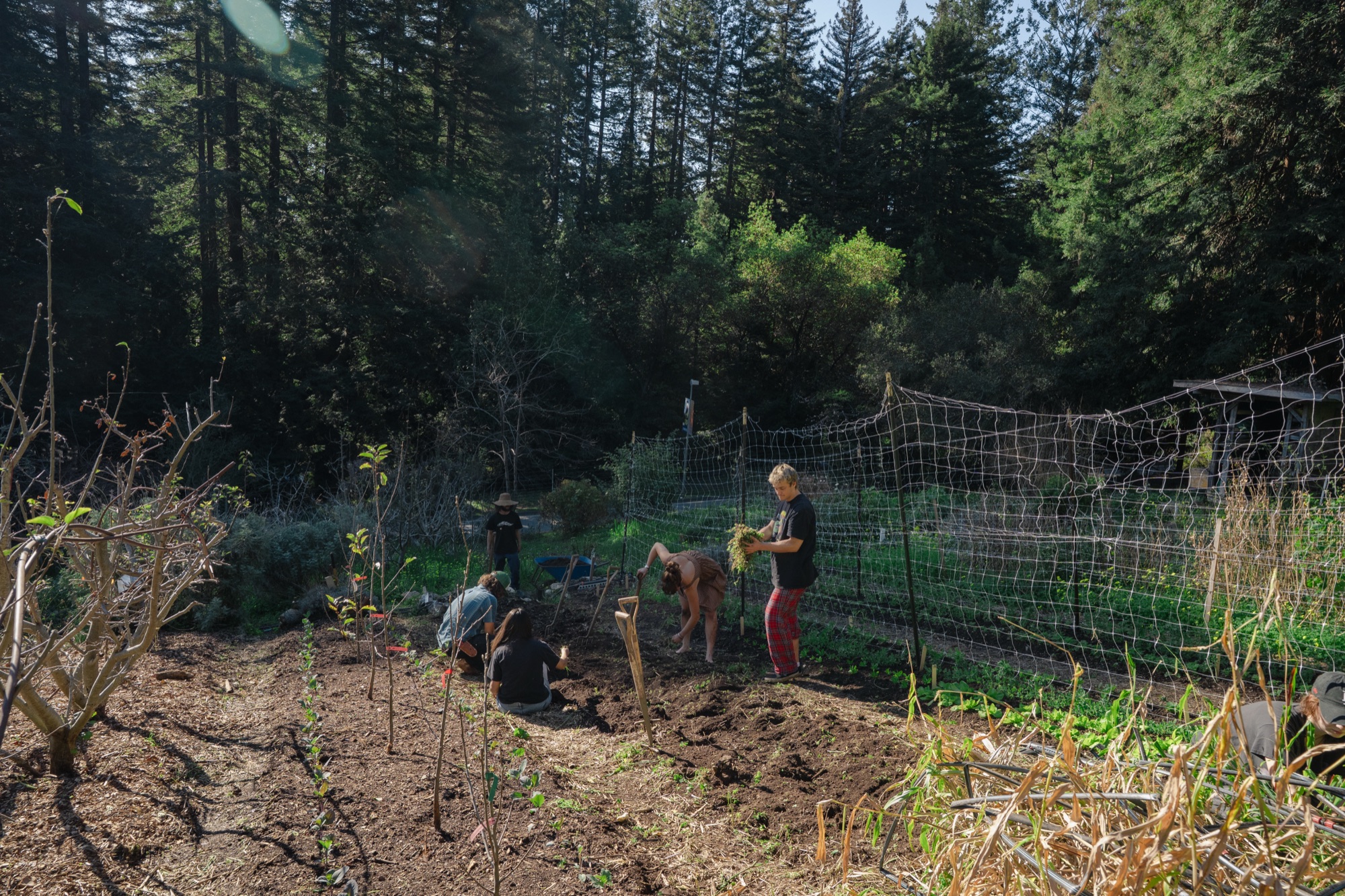 Farm 15