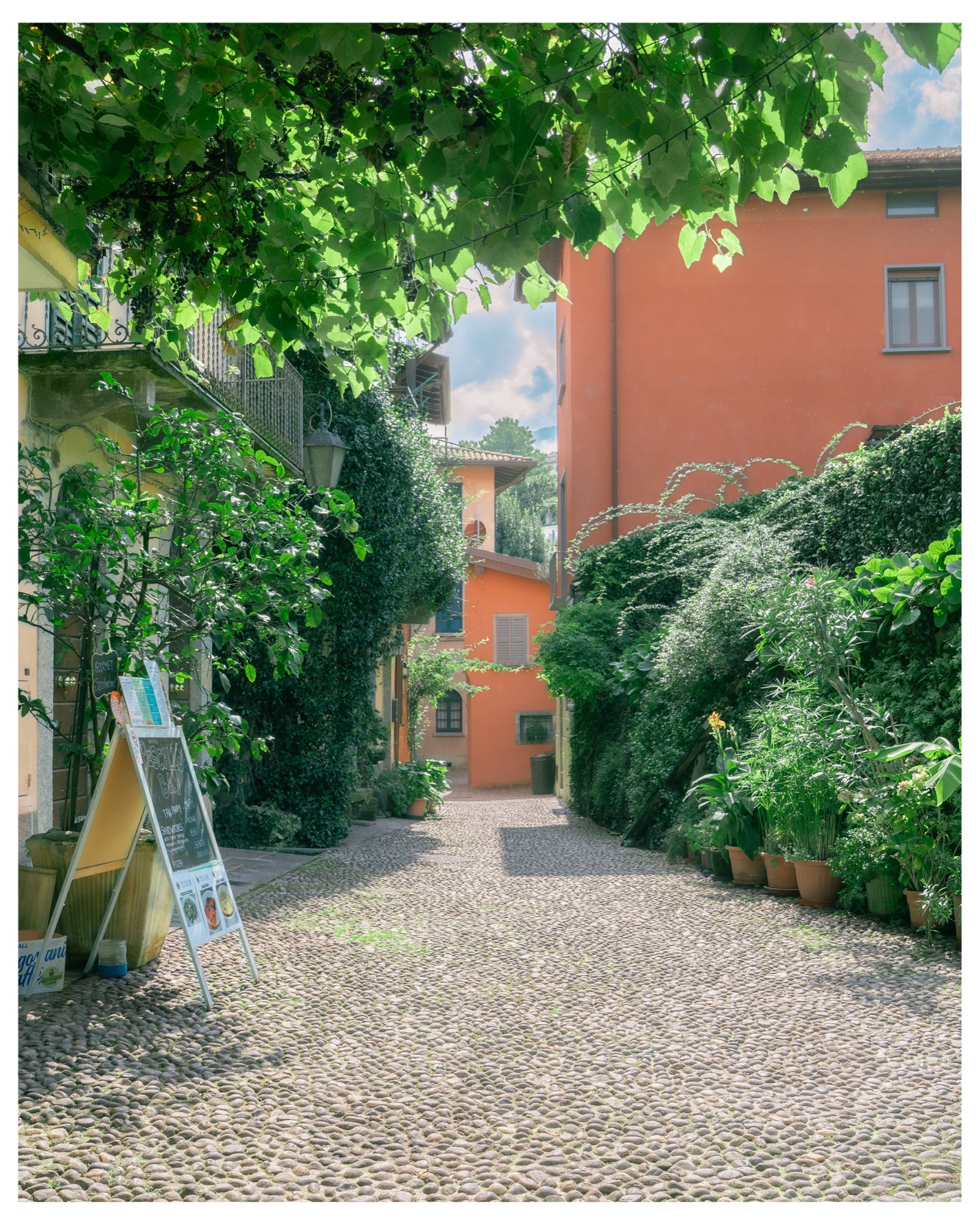 Travel 4